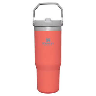 Stanley IceFlow™ Flip Straw Tumbler 0.89L čaša 