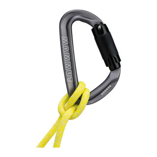 Sender Twistlock Mammut karabiner 