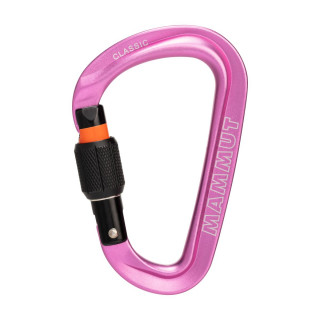 MAMMUT KARABINER 