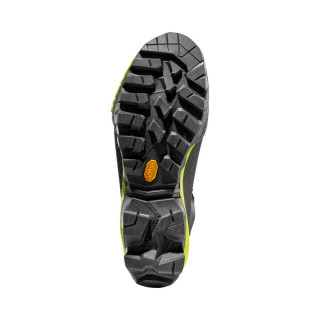 LA SPORTIVA GOJZERICE GTX CARBON/LIME PUNCH 