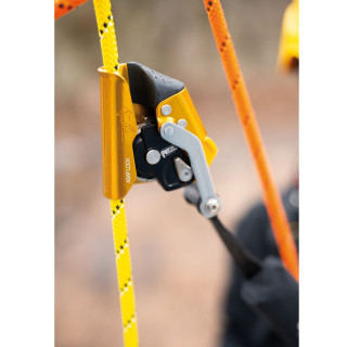 ASAP® LOCK Petzl 