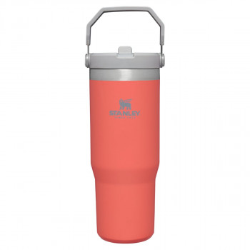Stanley IceFlow™ Flip Straw Tumbler 0.89L čaša 