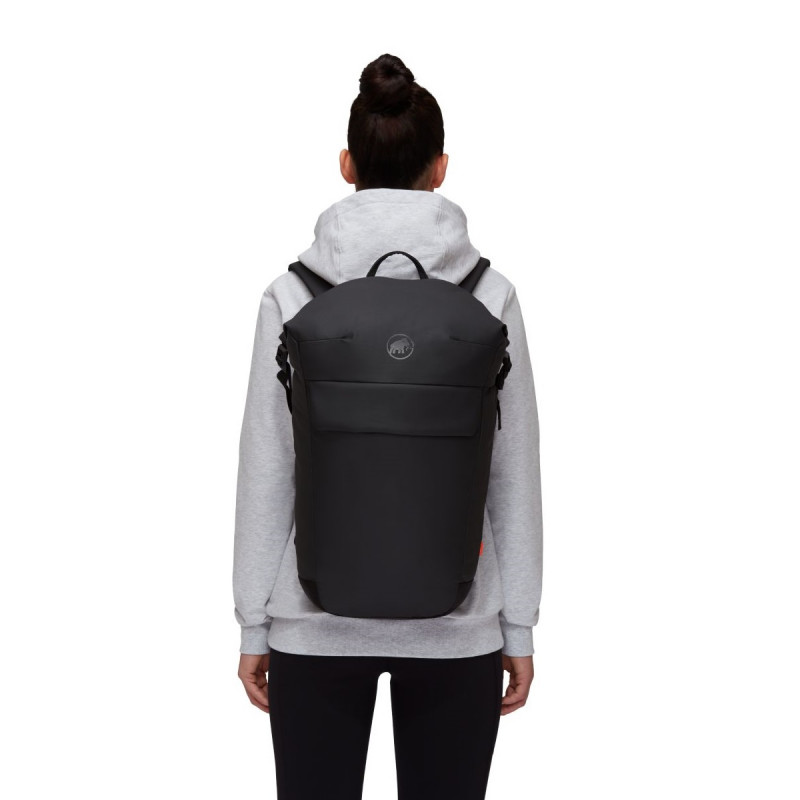 MAMMUT SEON COURIER RUKSAK 20 L 