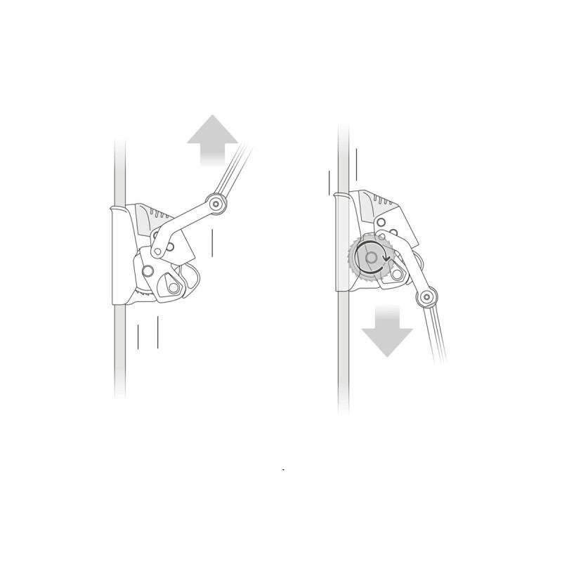 ASAP® LOCK Petzl 