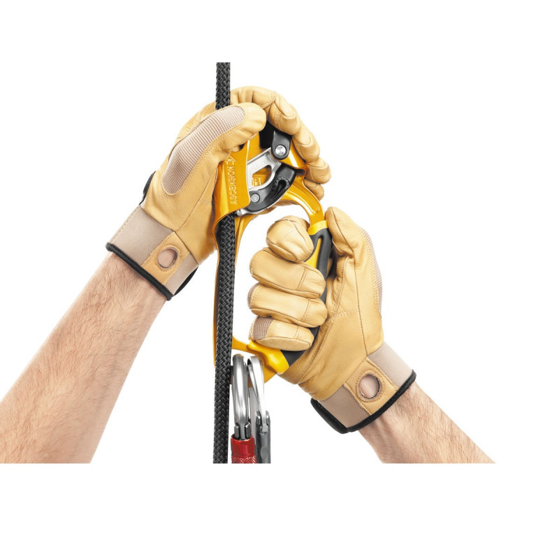 PETZL ASCENSION PENJALICA 